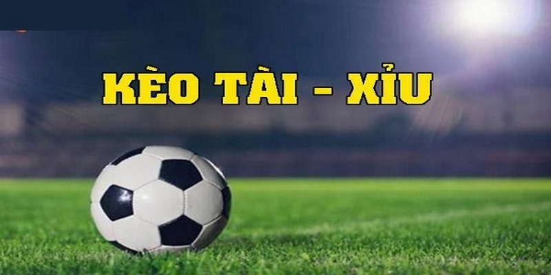 Tài Xỉu 0.5 là gì? Kinh nghiệm cá cược kèo Tài Xỉu 0.5